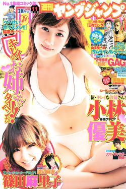 风流艳侠